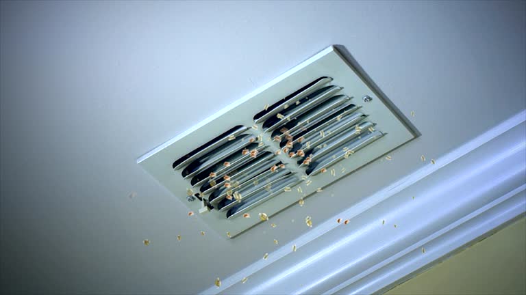 Best Air Duct Inspection  in Hurricane, UT